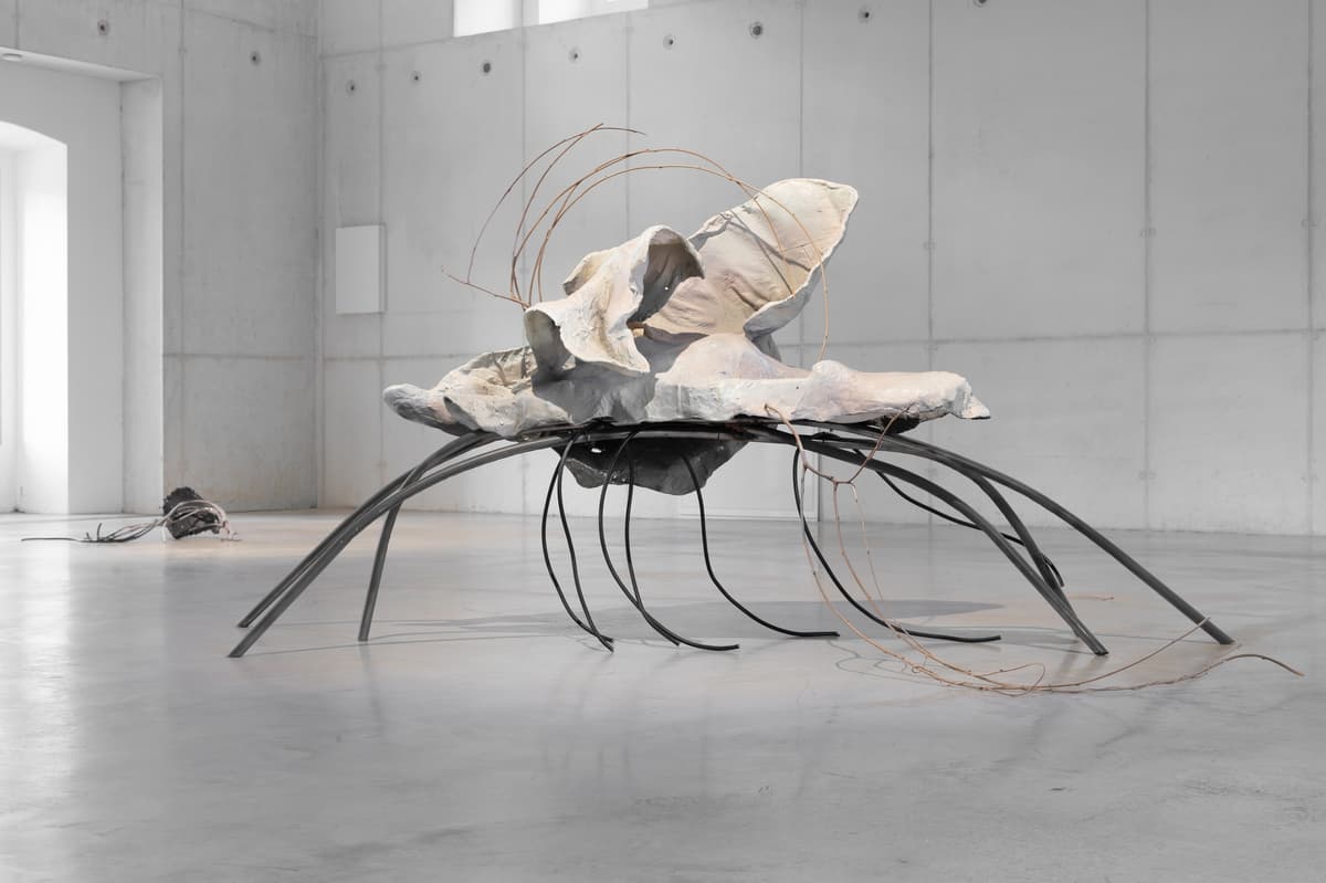 ACCOMPLICE installation view 3
