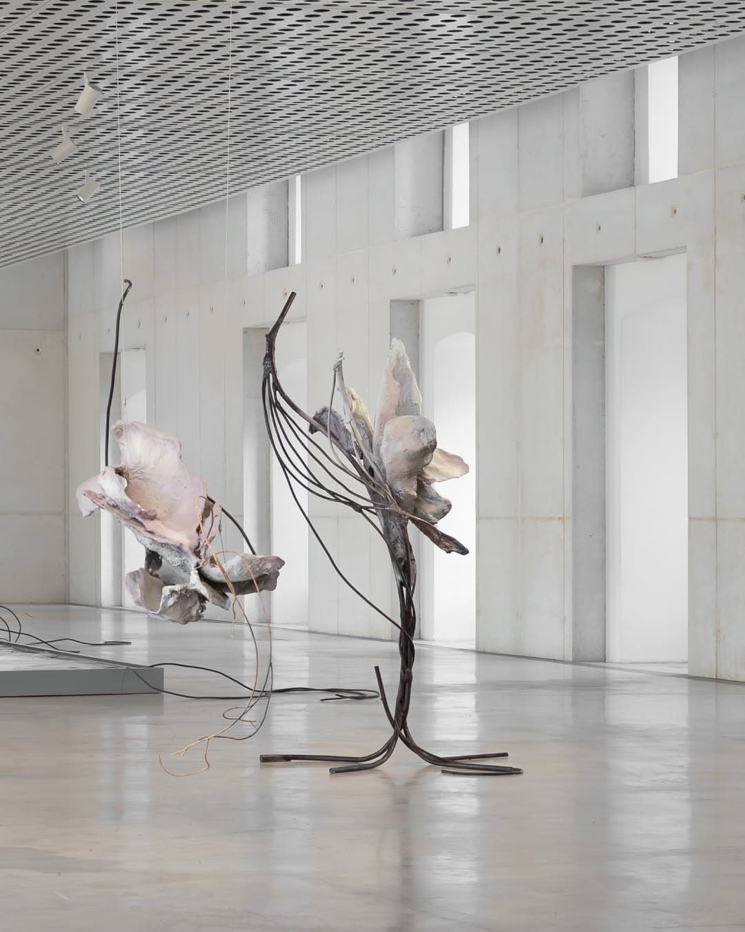 ACCOMPLICE installation view 9