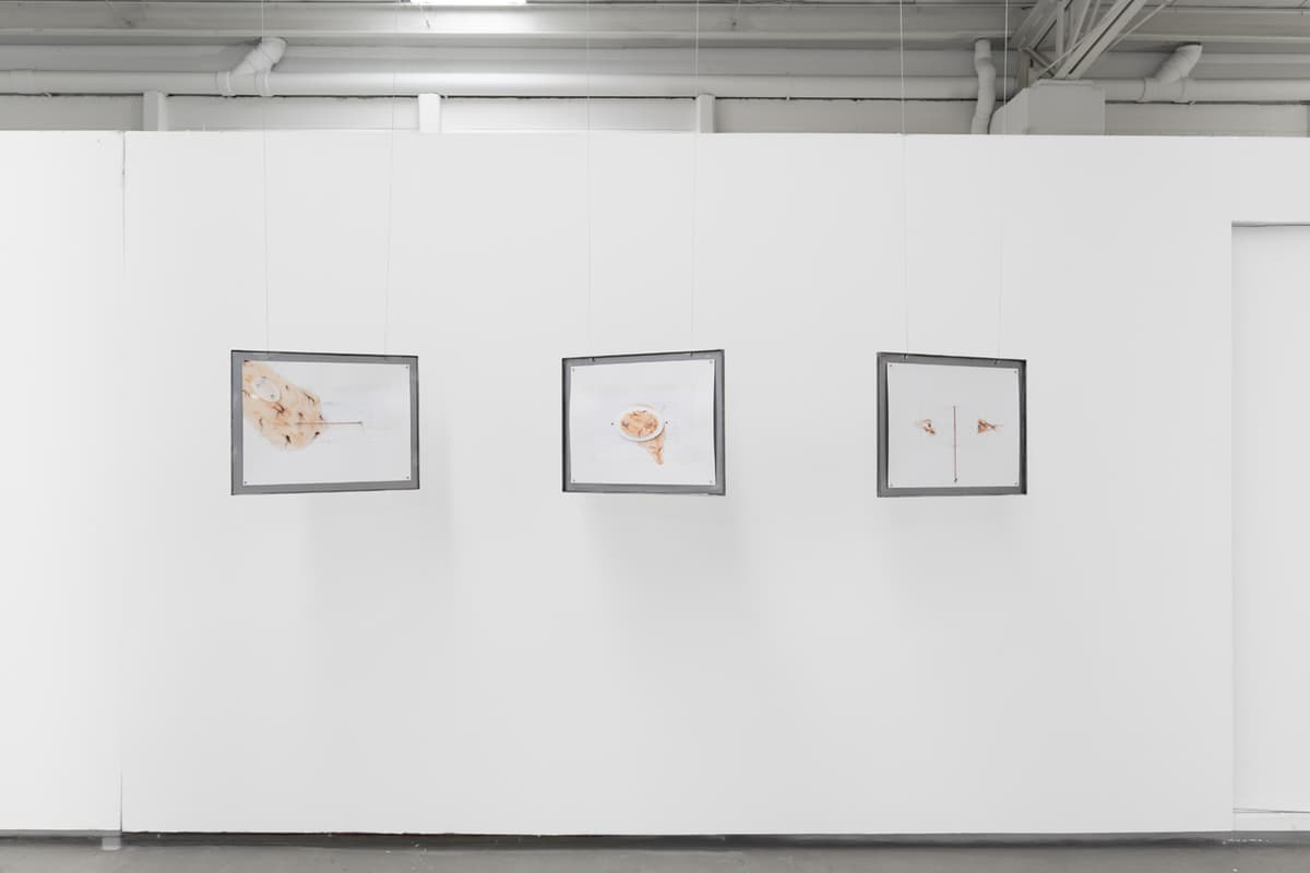 AXES installation view 10