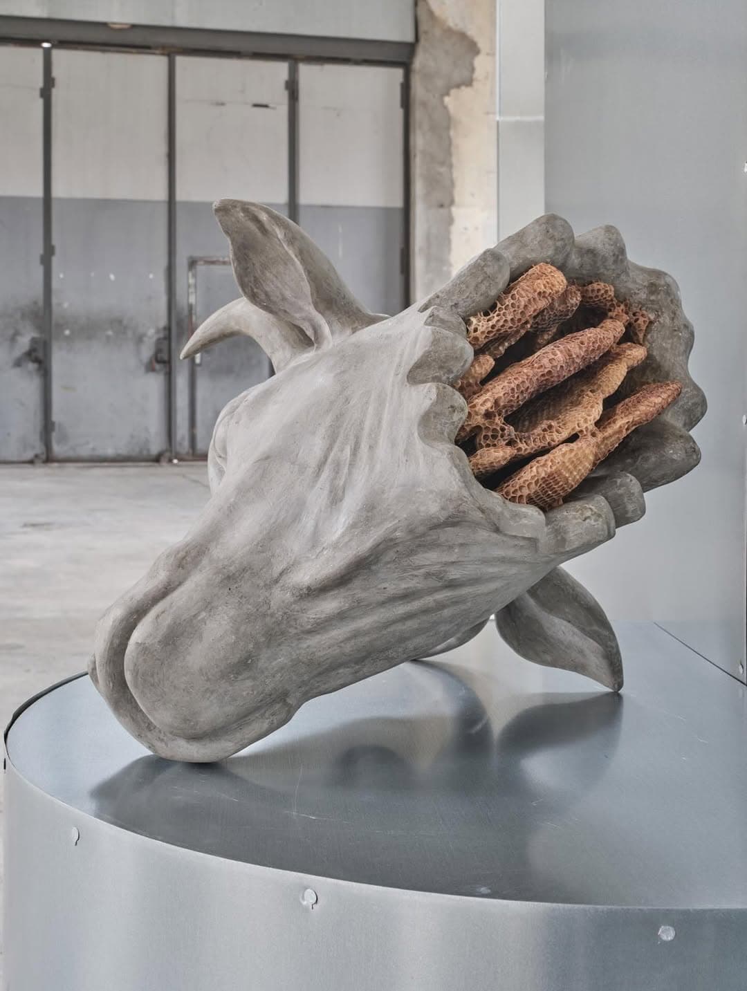 BUCOLICA installation view 8