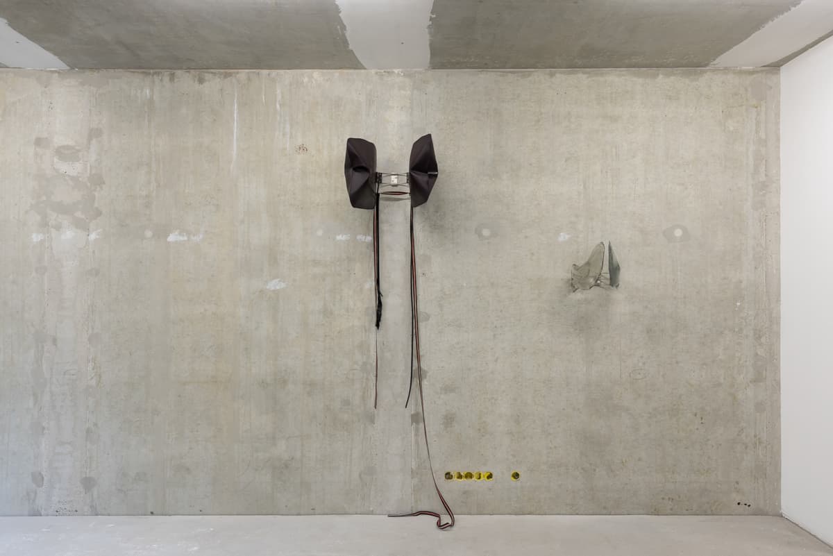 Caged movements installation view