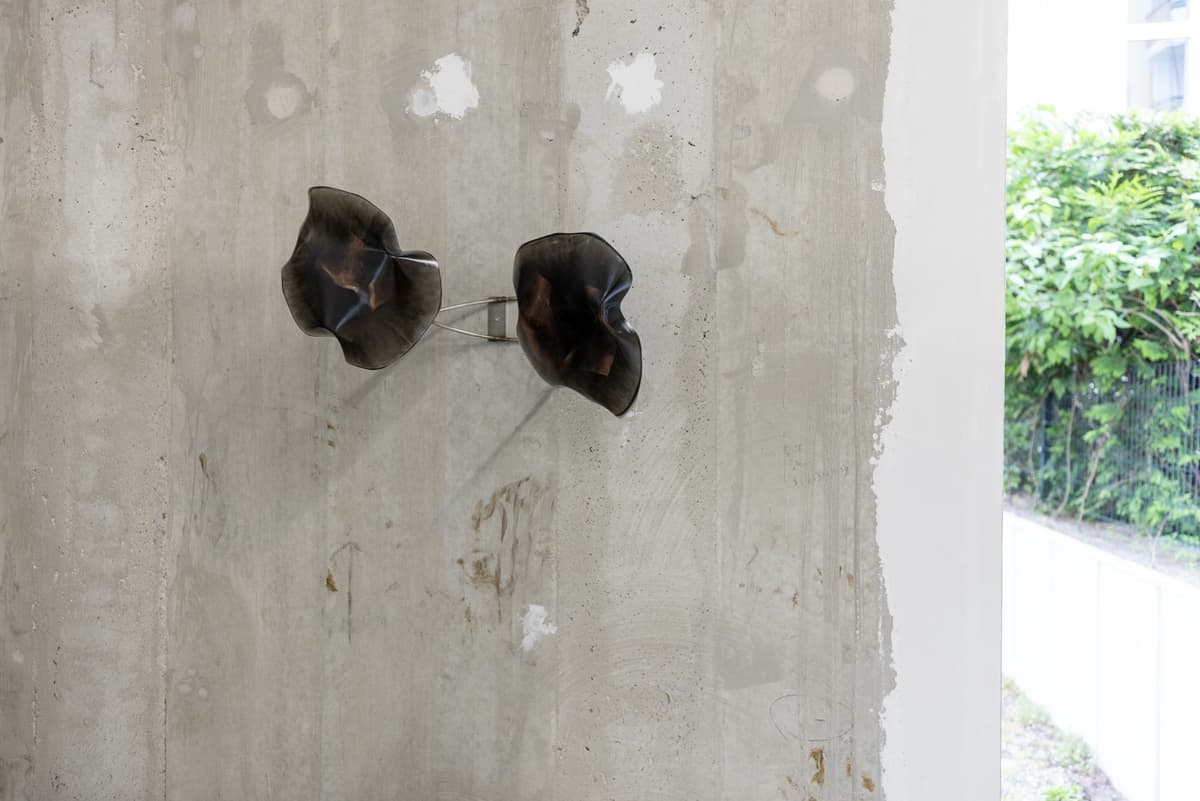 Caged movements installation view 2