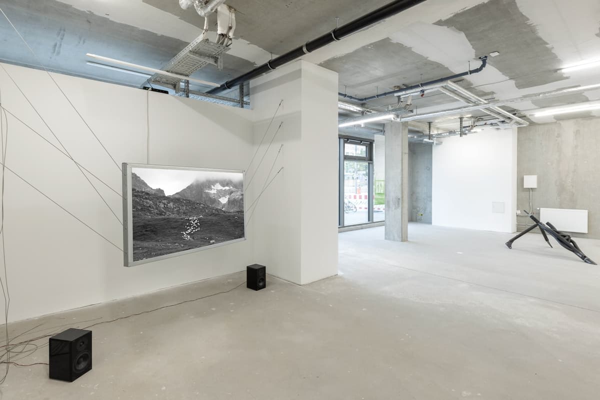 Caged movements installation view 3