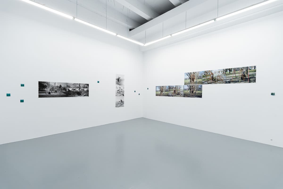 DISLOCATION installation view 12