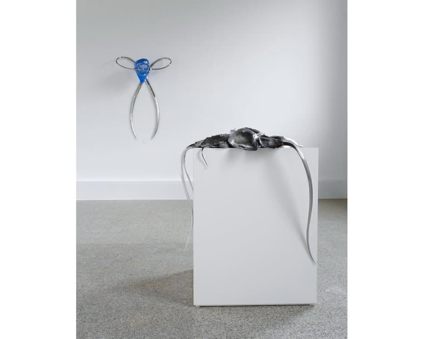 BLUE BLOODED installation view 8