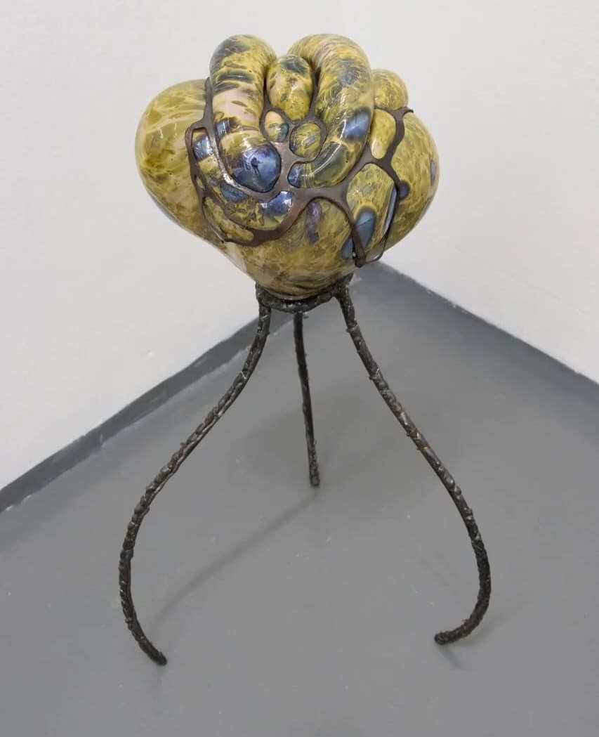 COAGVLA installation view 11