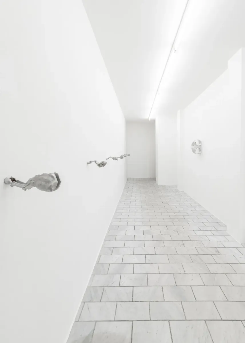 DOUBLE STAR installation view 22