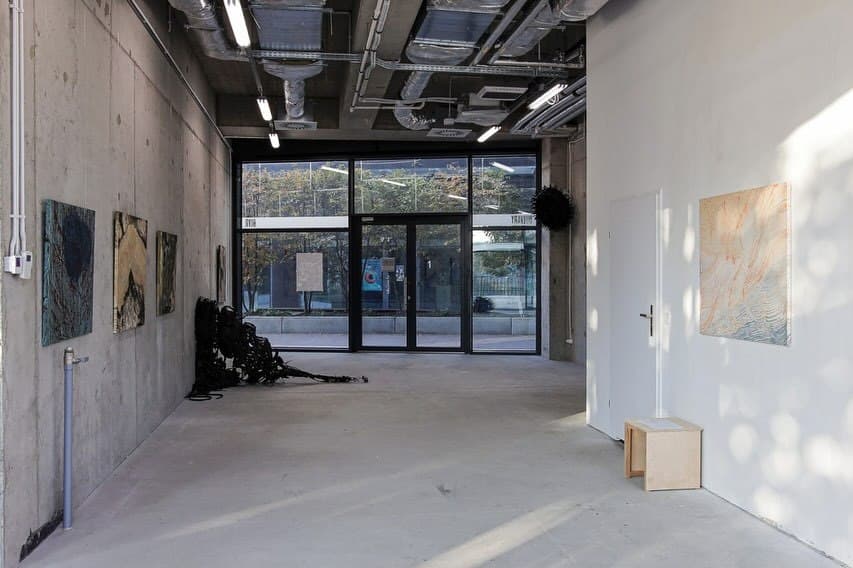 EUTROPHY installation view 5