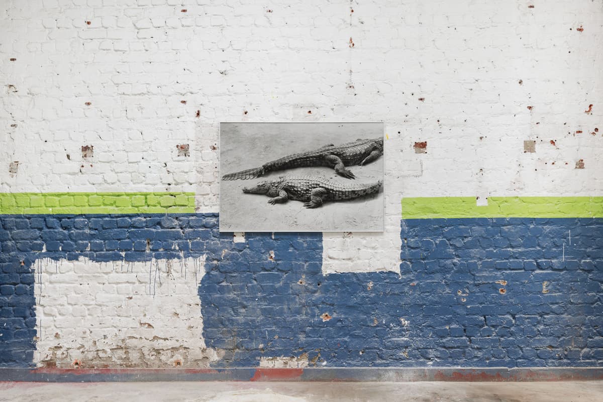 First Date installation view 11