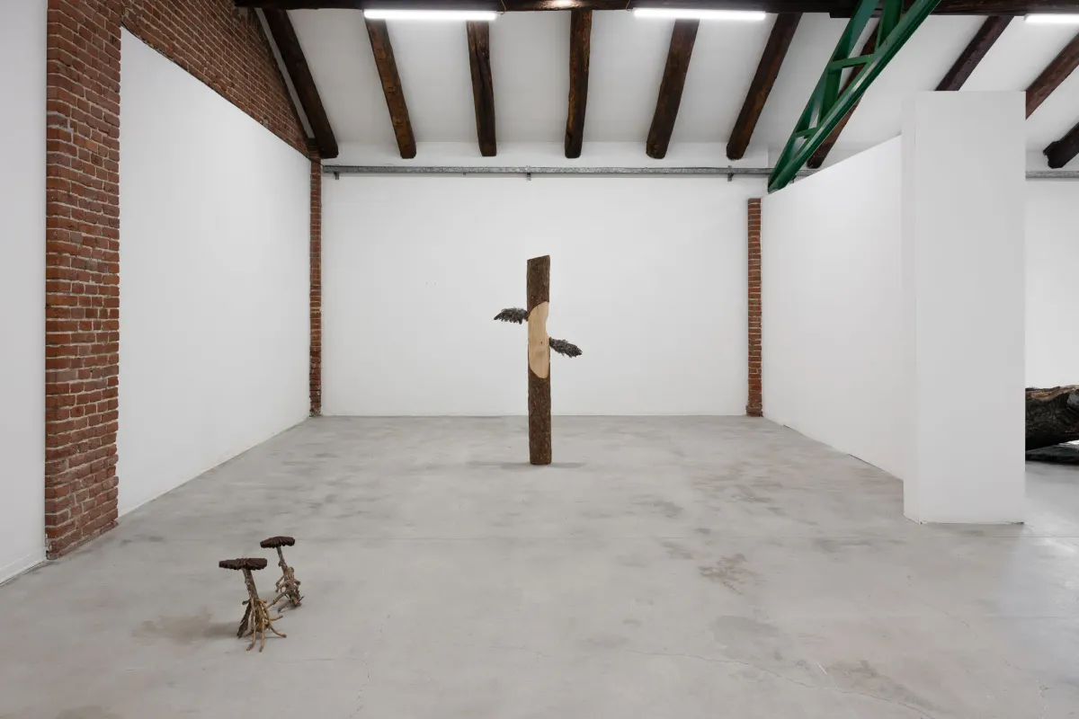 OLD SNAG installation view 5