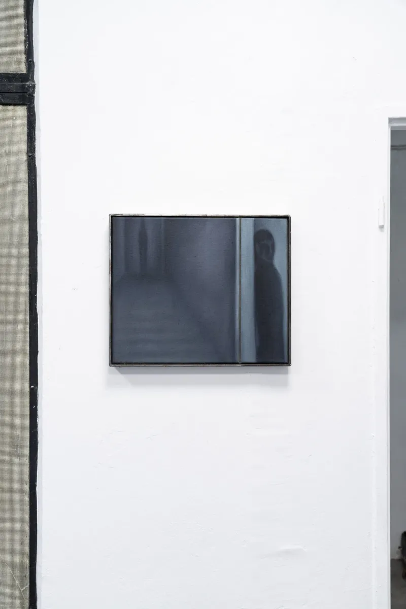 PASSENGER installation view 10