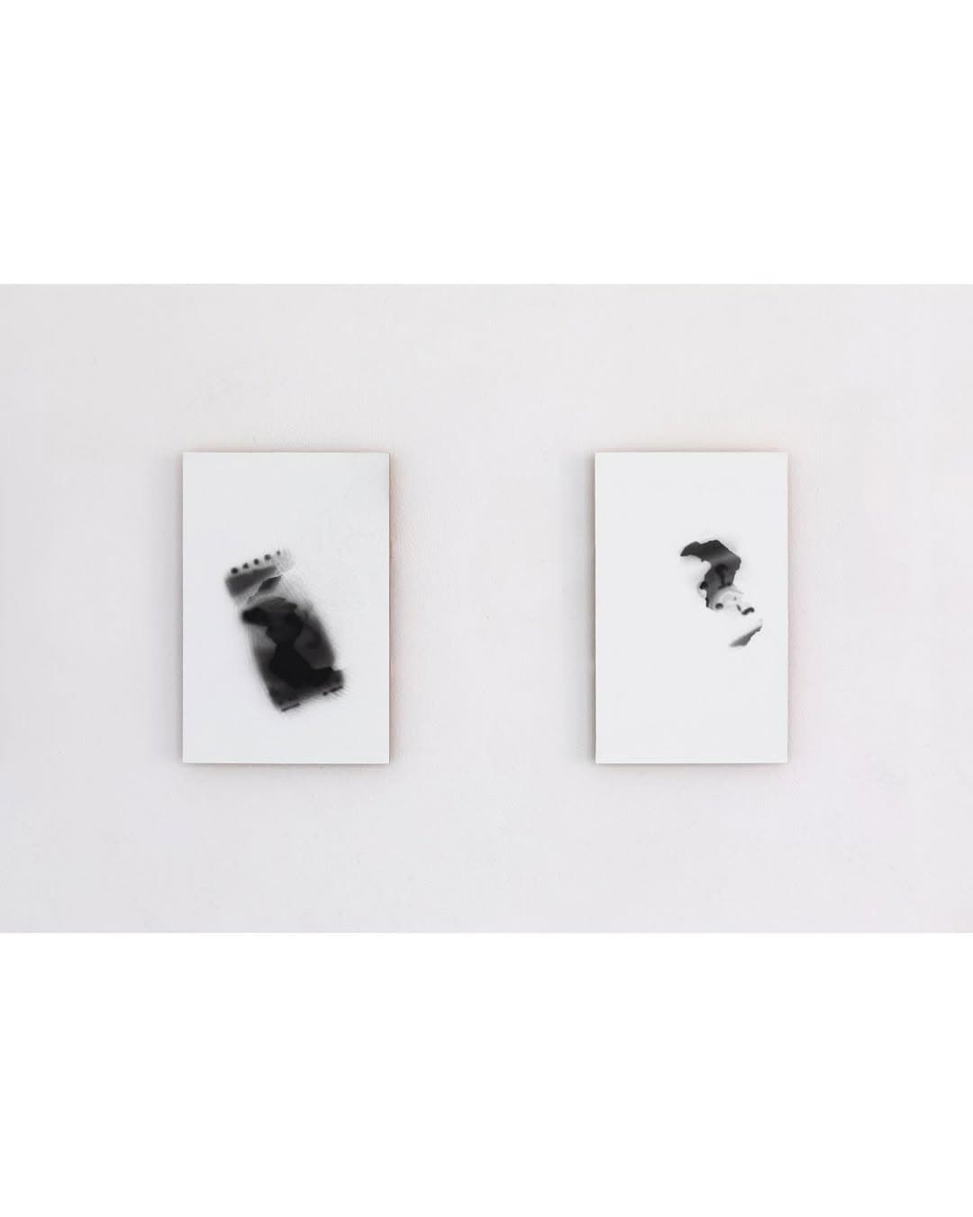 PETRICHOR installation view 9