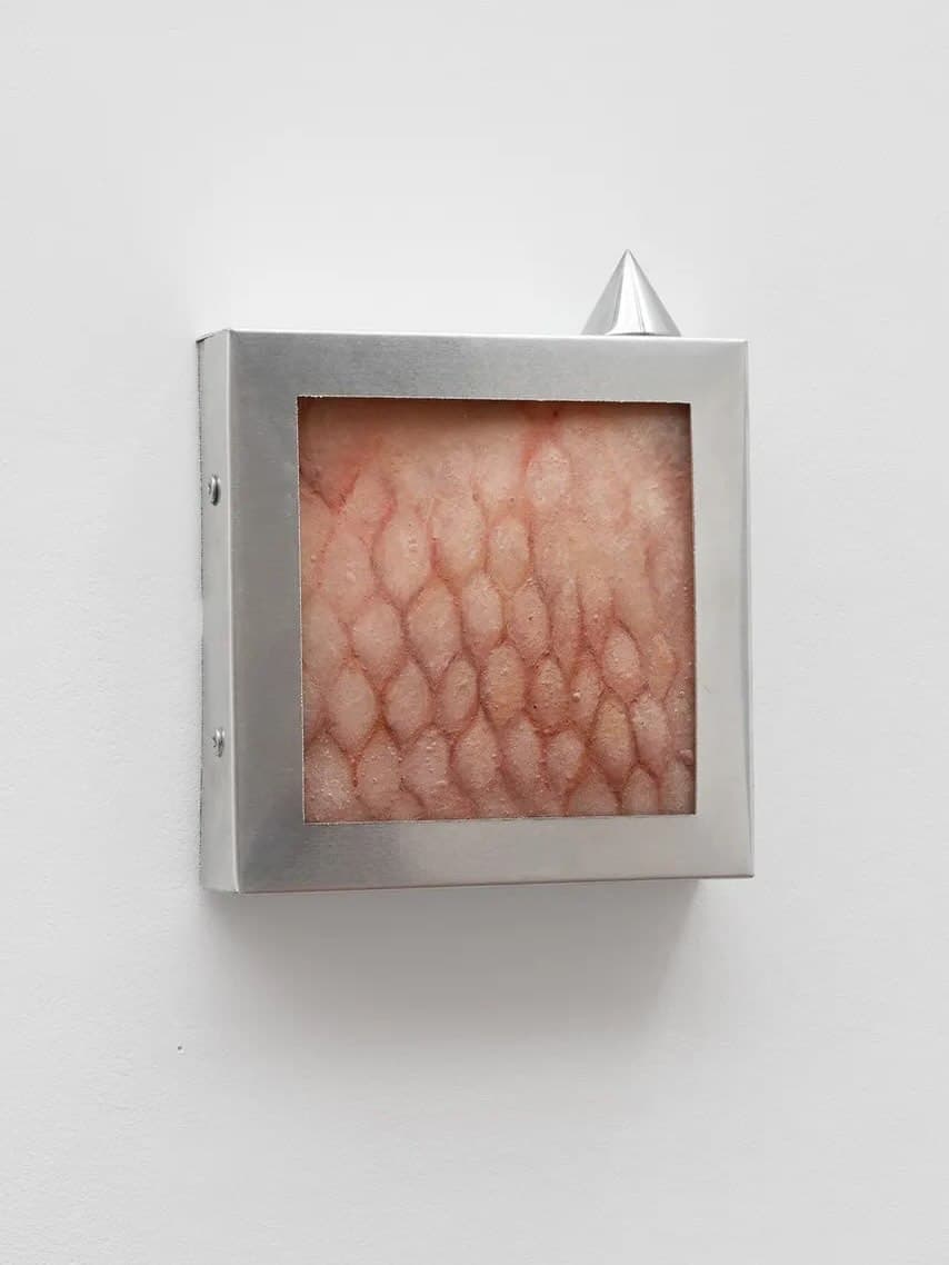 THE SIGNAL. THE NOICE installation view 10