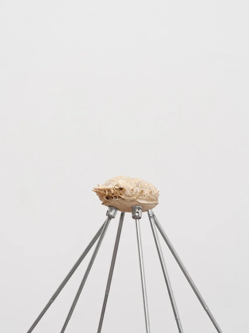 THE SIGNAL. THE NOICE installation view 12