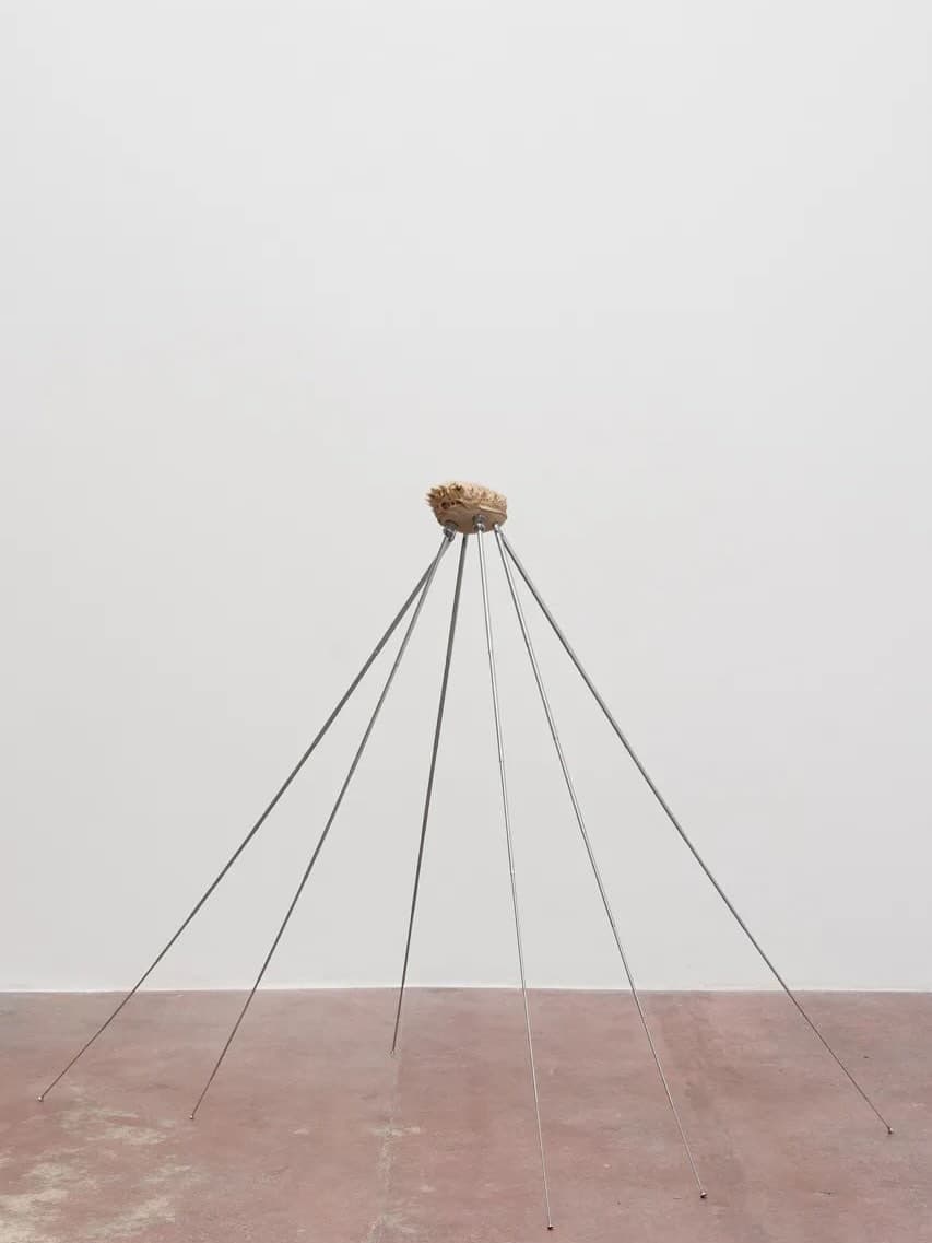 THE SIGNAL. THE NOICE exhibition view