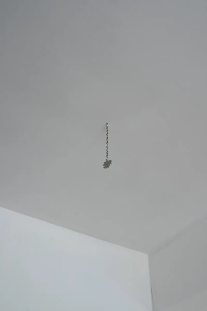 We are deeply alarmed and express our grave concern installation view 6