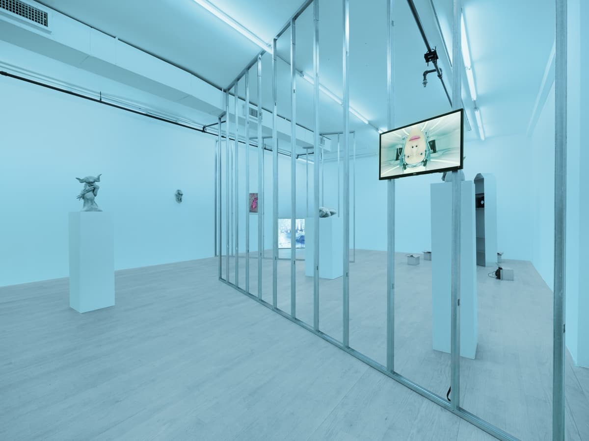 exuviae installation view 2