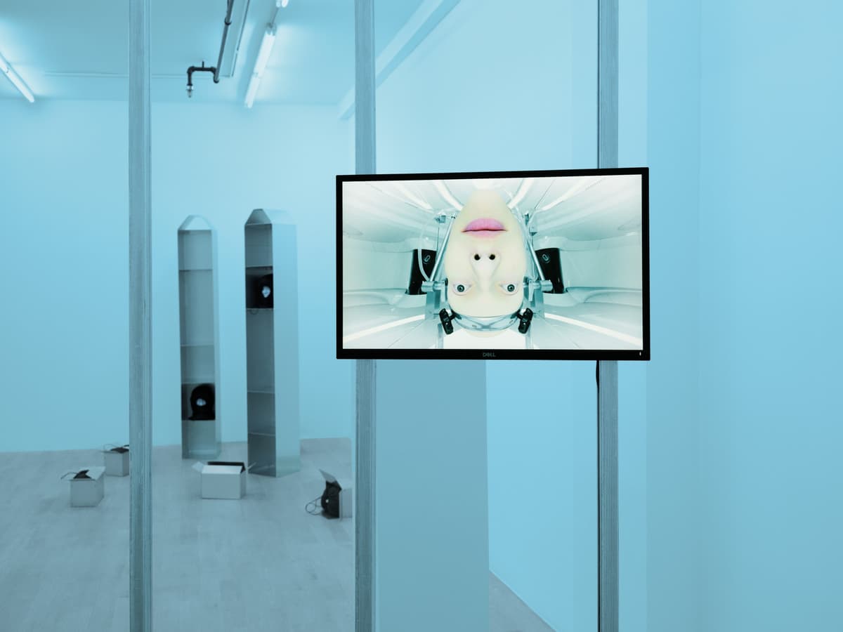 exuviae installation view 3