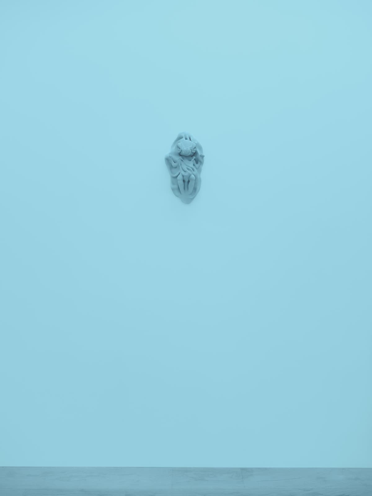 exuviae installation view 6