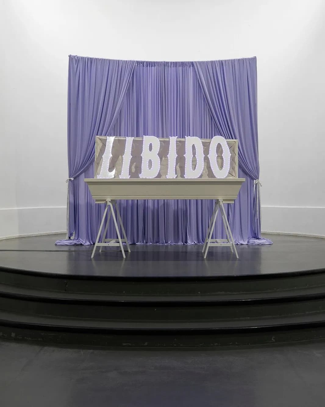 fight or flight: SEX installation view 5