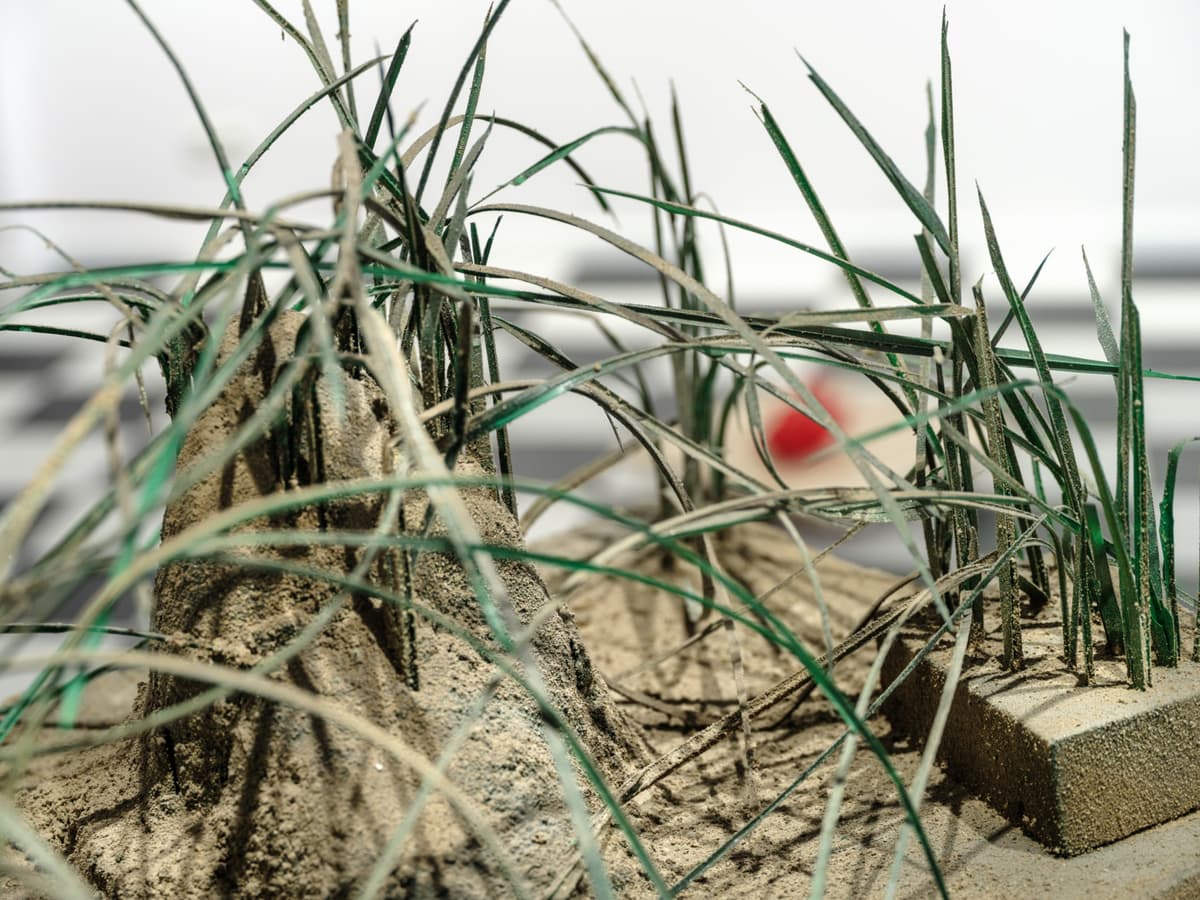 Grass on roadside 4 installation view 14