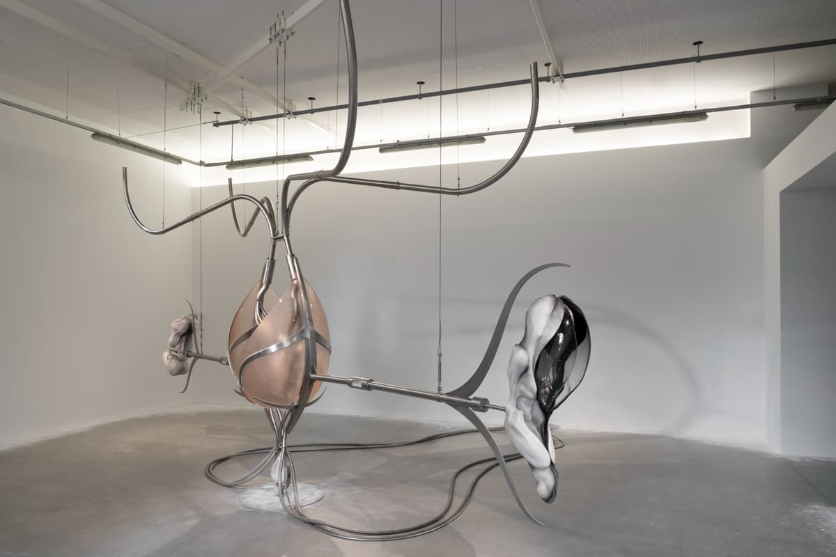 Metempsychosis installation view