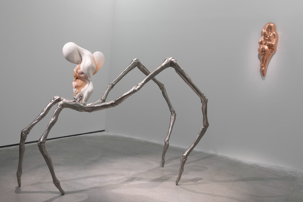 Metempsychosis installation view 3