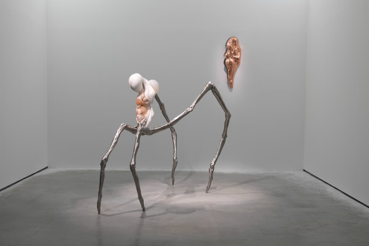 Metempsychosis installation view 4