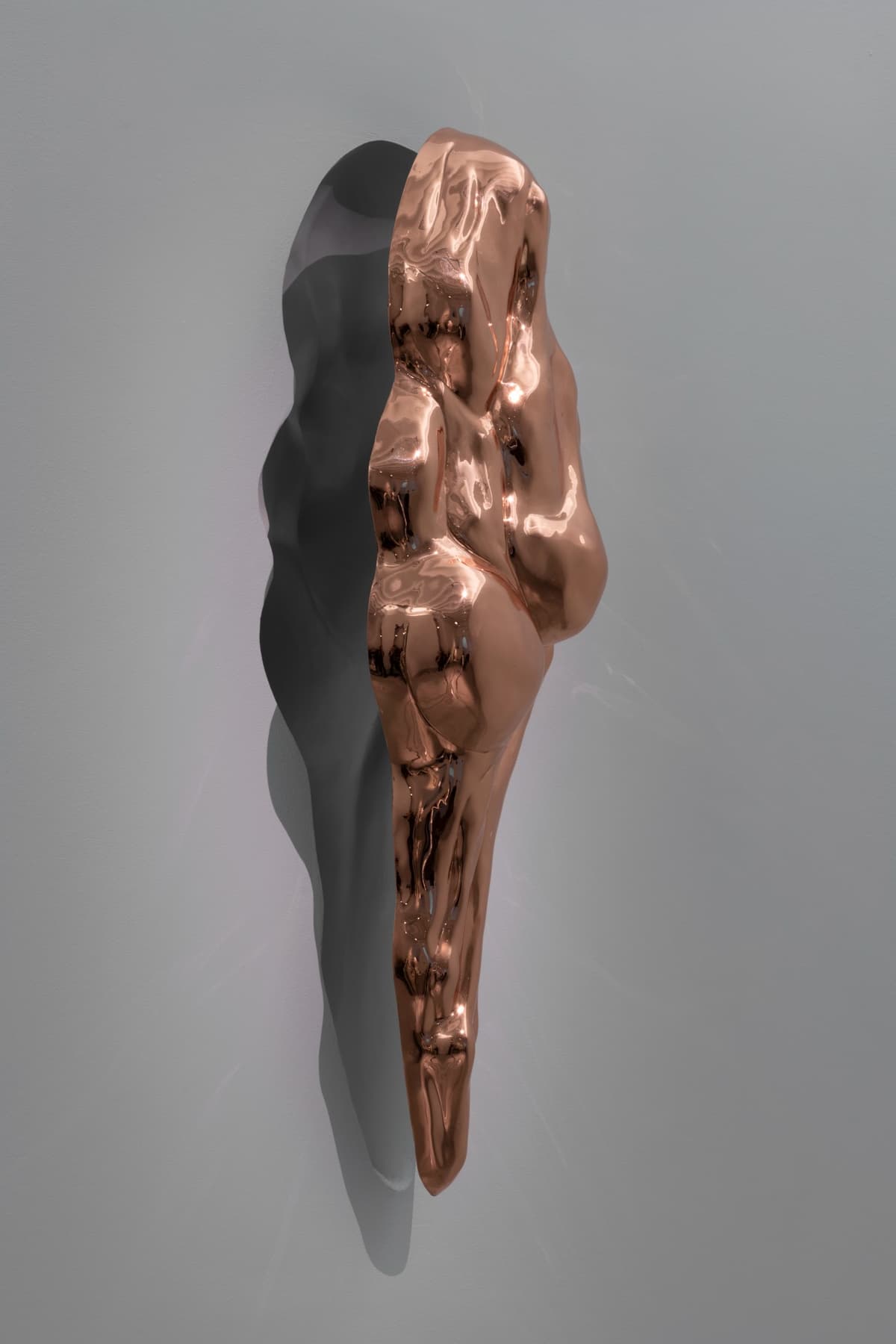 Metempsychosis installation view 6