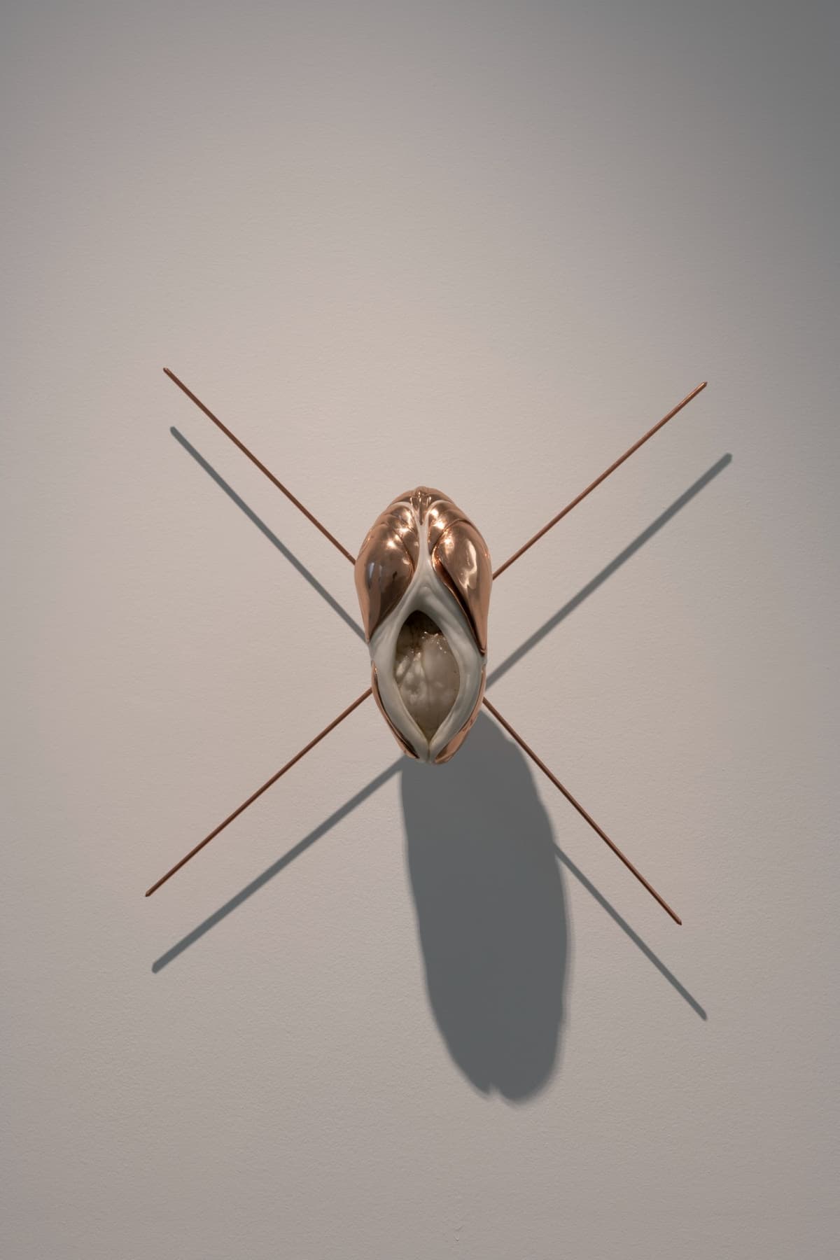 Metempsychosis installation view 8