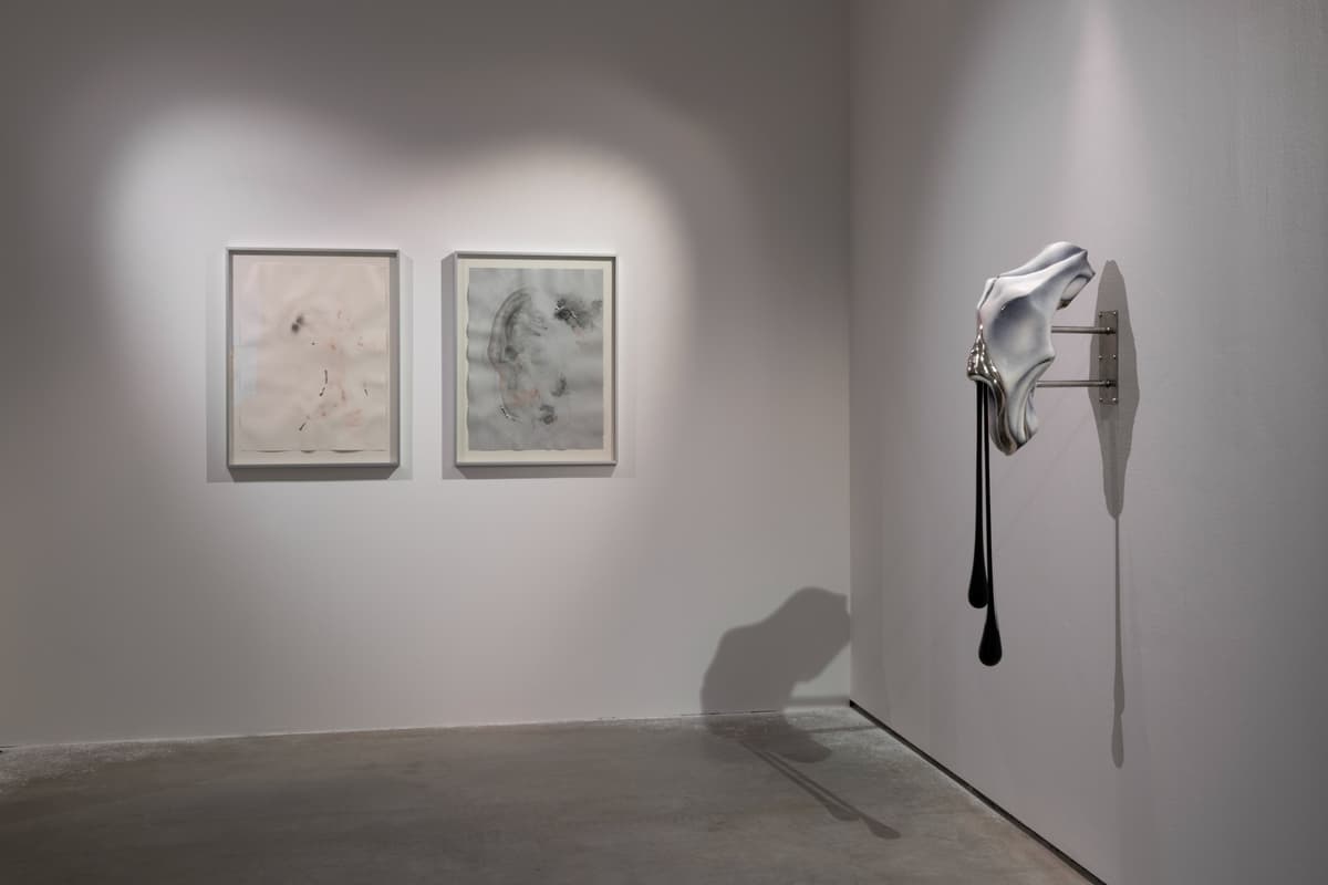 Metempsychosis installation view 9