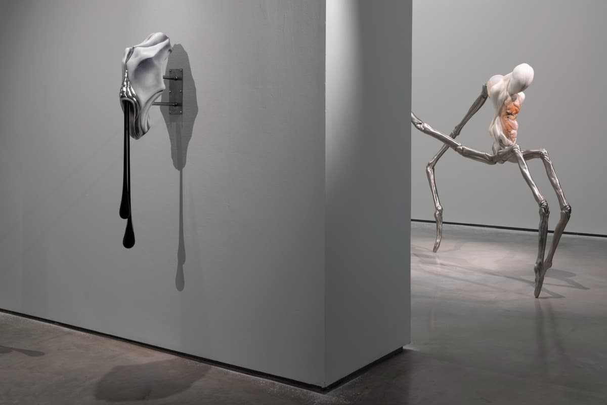 Metempsychosis installation view 11
