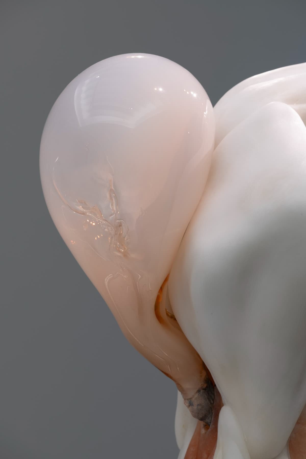 Metempsychosis installation view 13