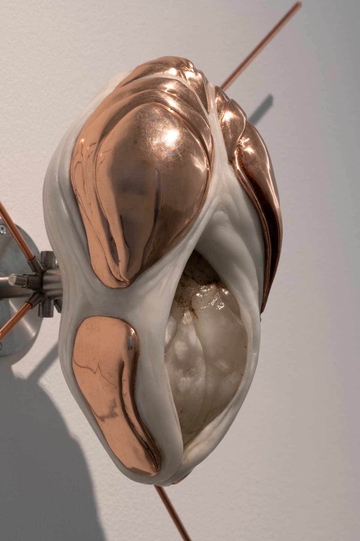 Metempsychosis installation view 15