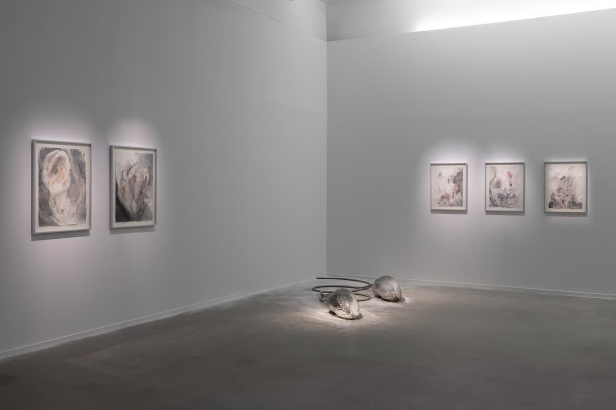 Metempsychosis installation view 16