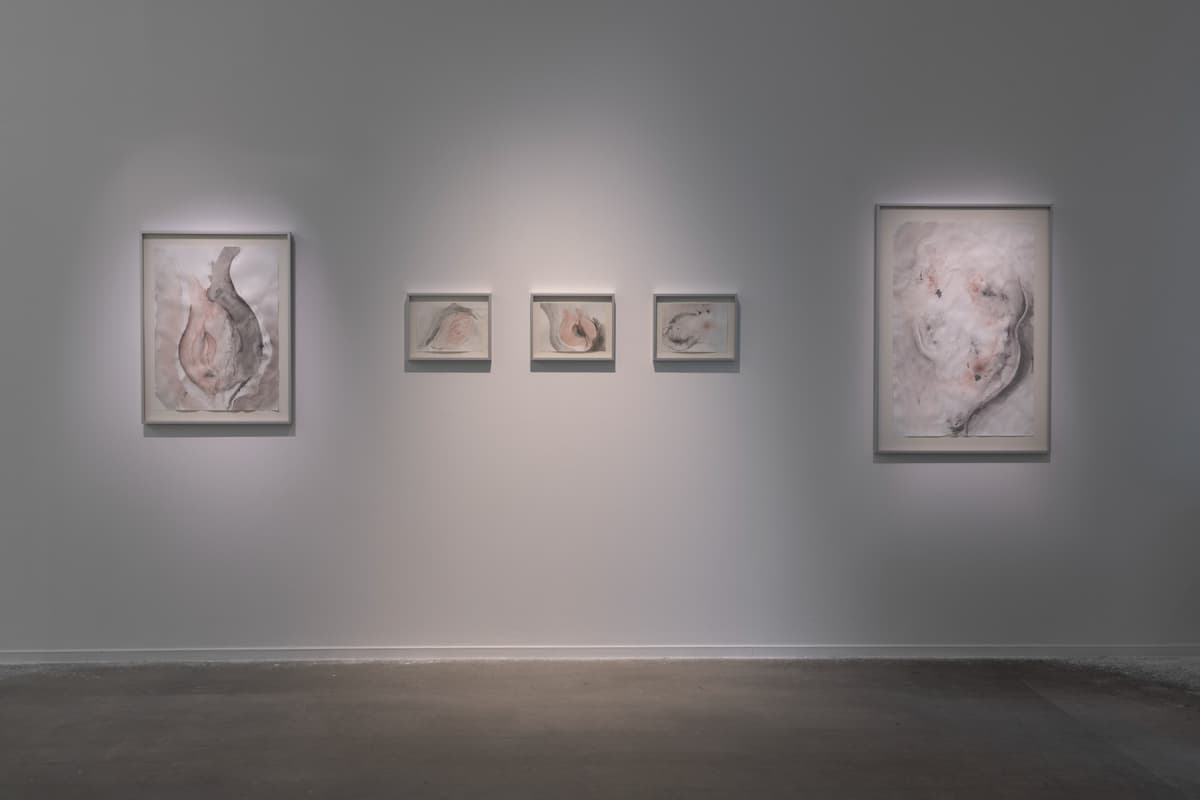 Metempsychosis installation view 19