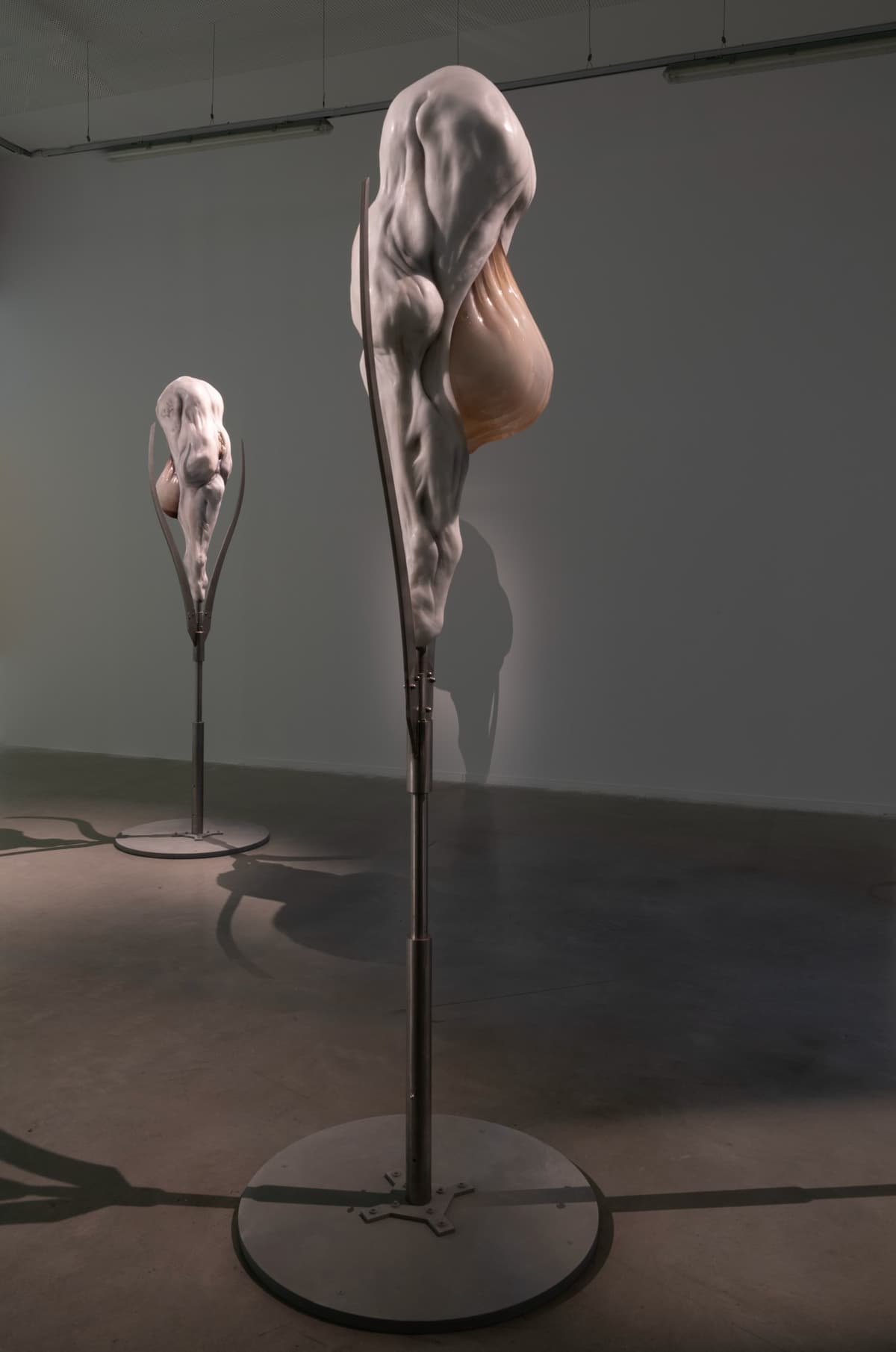 Metempsychosis installation view 21