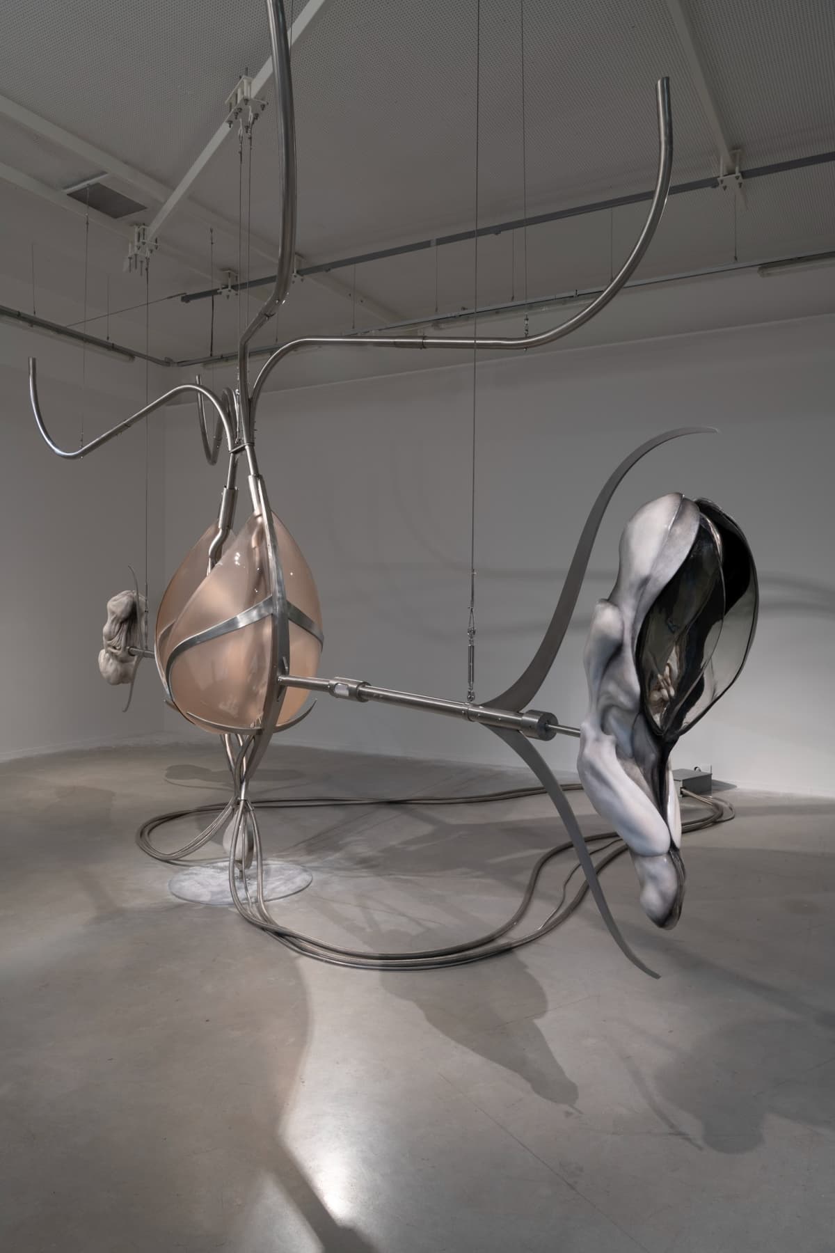 Metempsychosis installation view 24