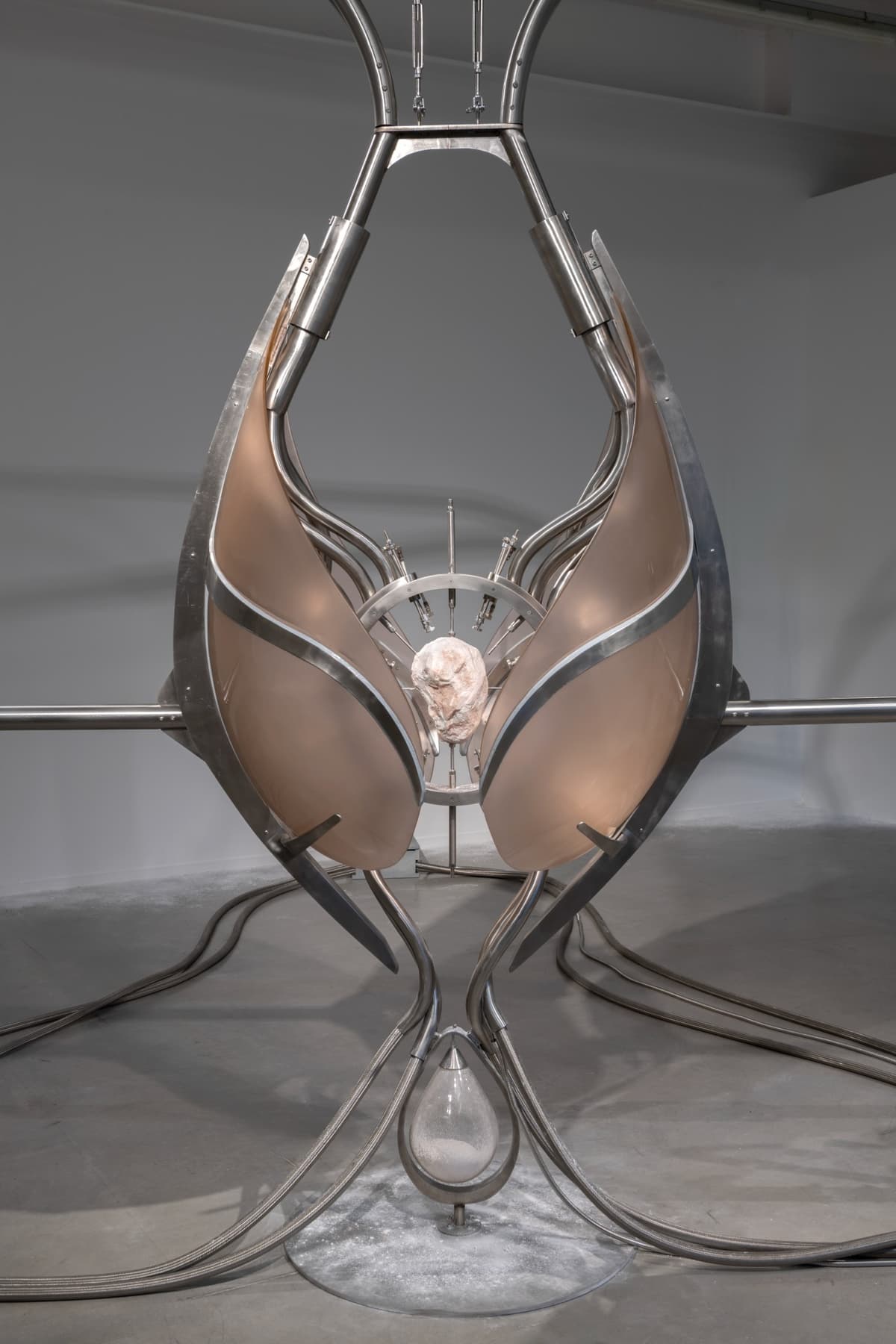Metempsychosis installation view 25