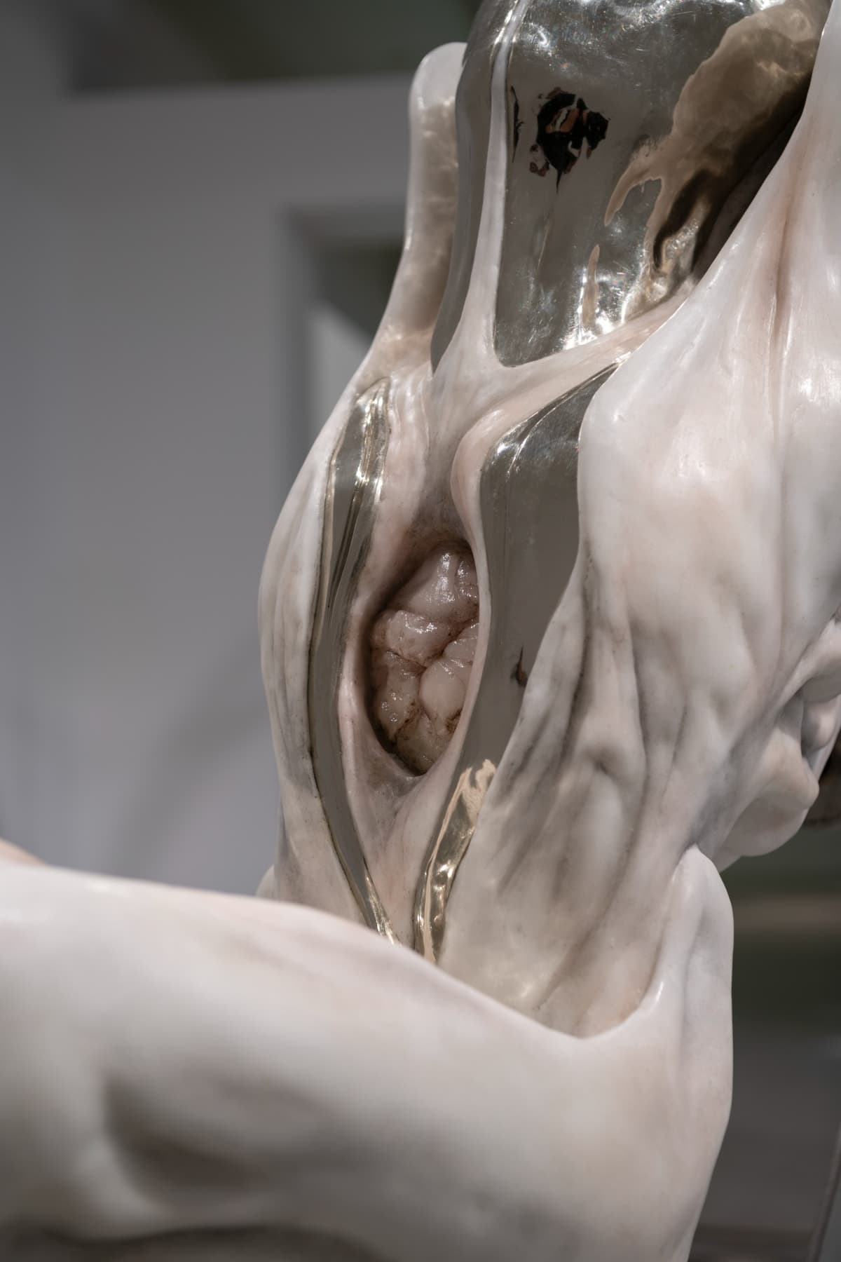 Metempsychosis installation view 27