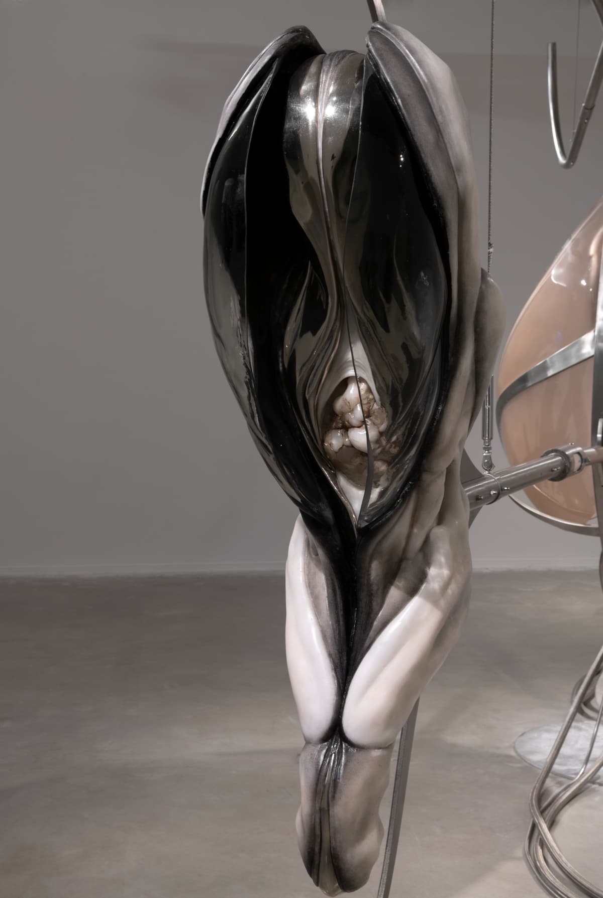 Metempsychosis installation view 29