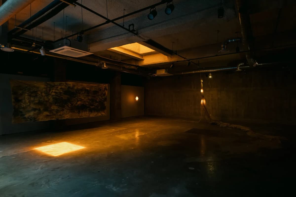 The Creeper in the Dusk installation view 7