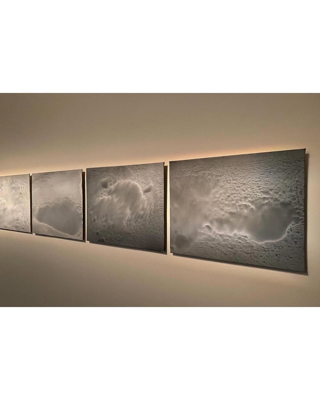 A CERTAIN INSTANCE OF VERRITION installation view 6