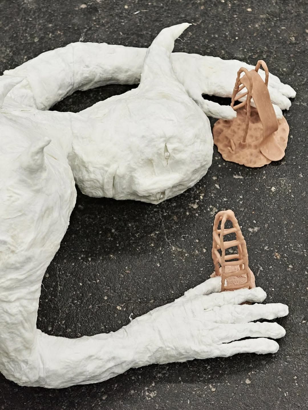 DIE SPRACHE DER VÖGEL installation view 3