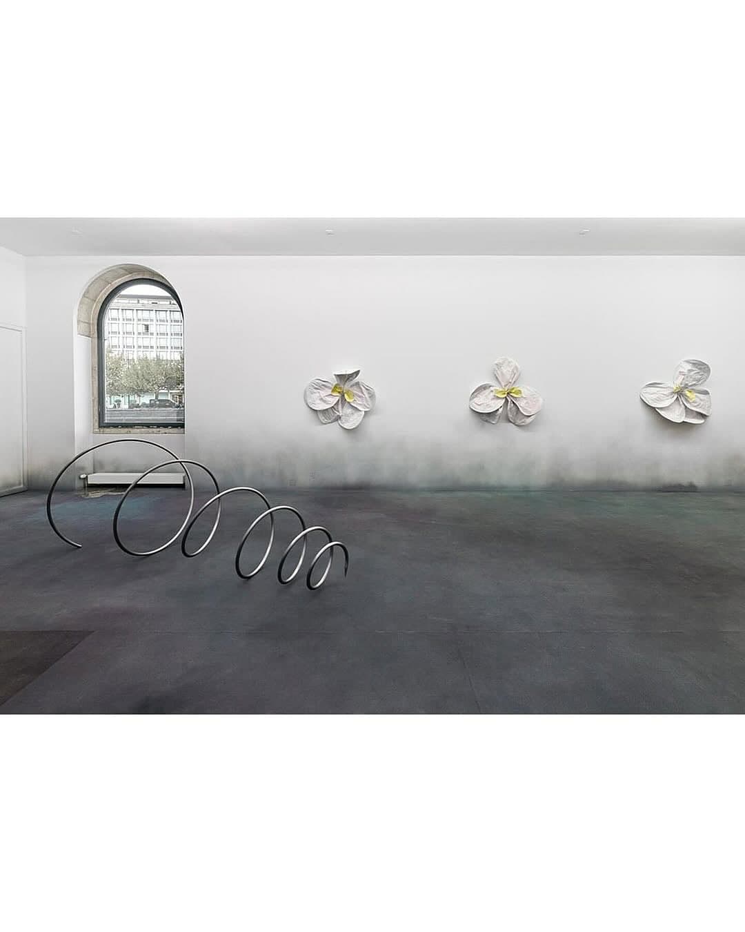 DOWN THE RABBIT HOLE, 2024 installation view 2