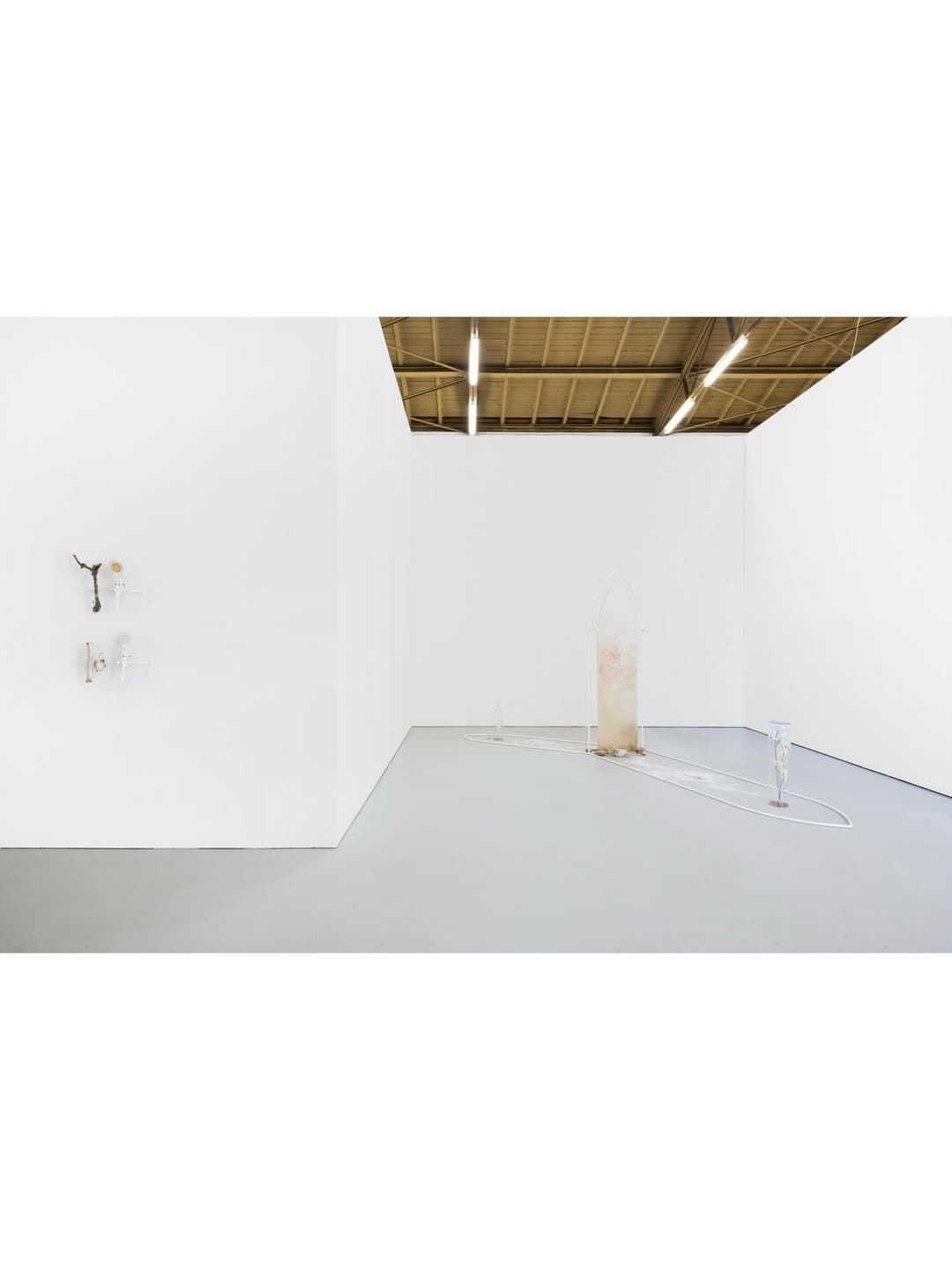 MOONLIT BOTANICAL COLOUR THEORIES installation view 3