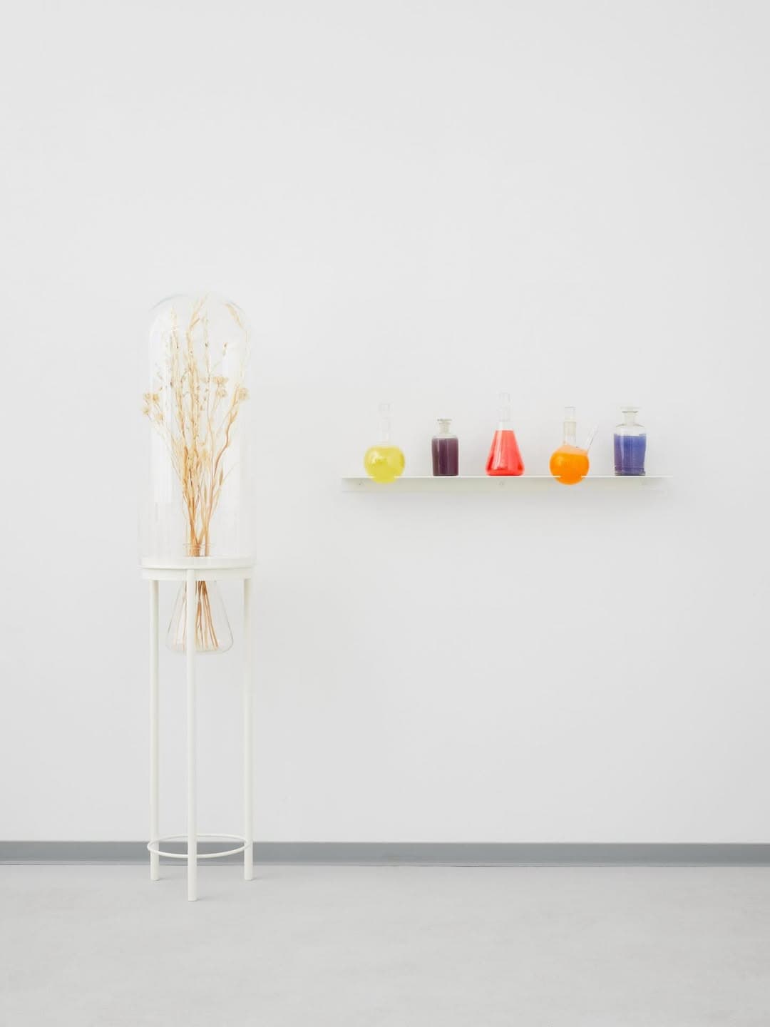 MOONLIT BOTANICAL COLOUR THEORIES installation view 5