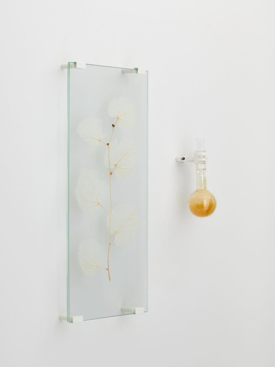 MOONLIT BOTANICAL COLOUR THEORIES installation view 8