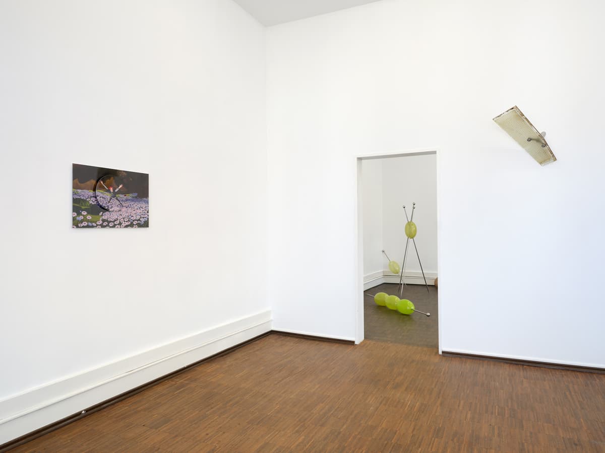 PROFUSION ANTAGONIST WISHLIST installation view 6