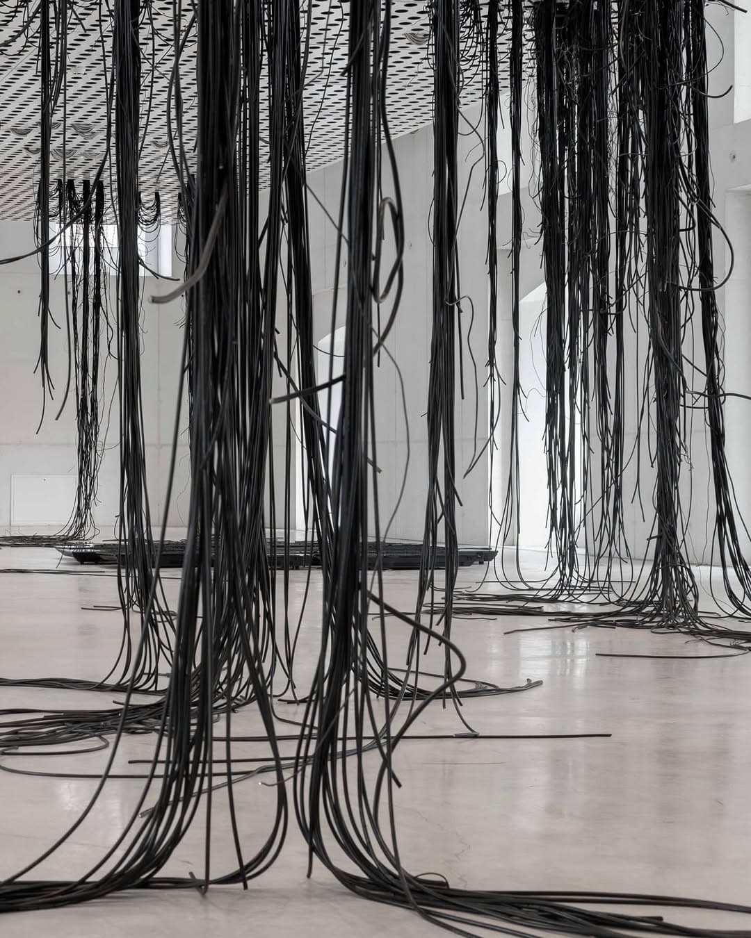 TAR STAR installation view 11